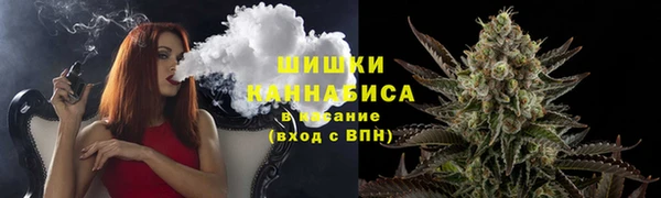 крисы Белокуриха