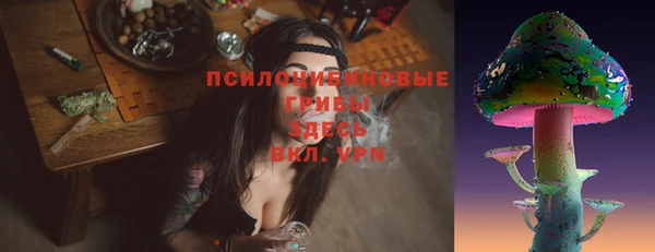 трава Беломорск
