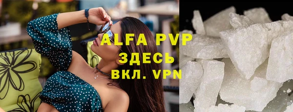 крисы Белокуриха